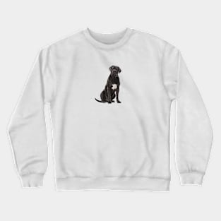 Black Cane Corso Dog Crewneck Sweatshirt